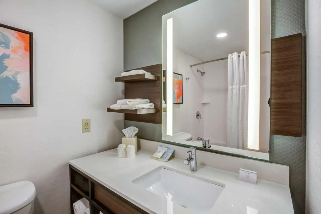 Hilton Garden Inn Boston/Waltham - Chambres