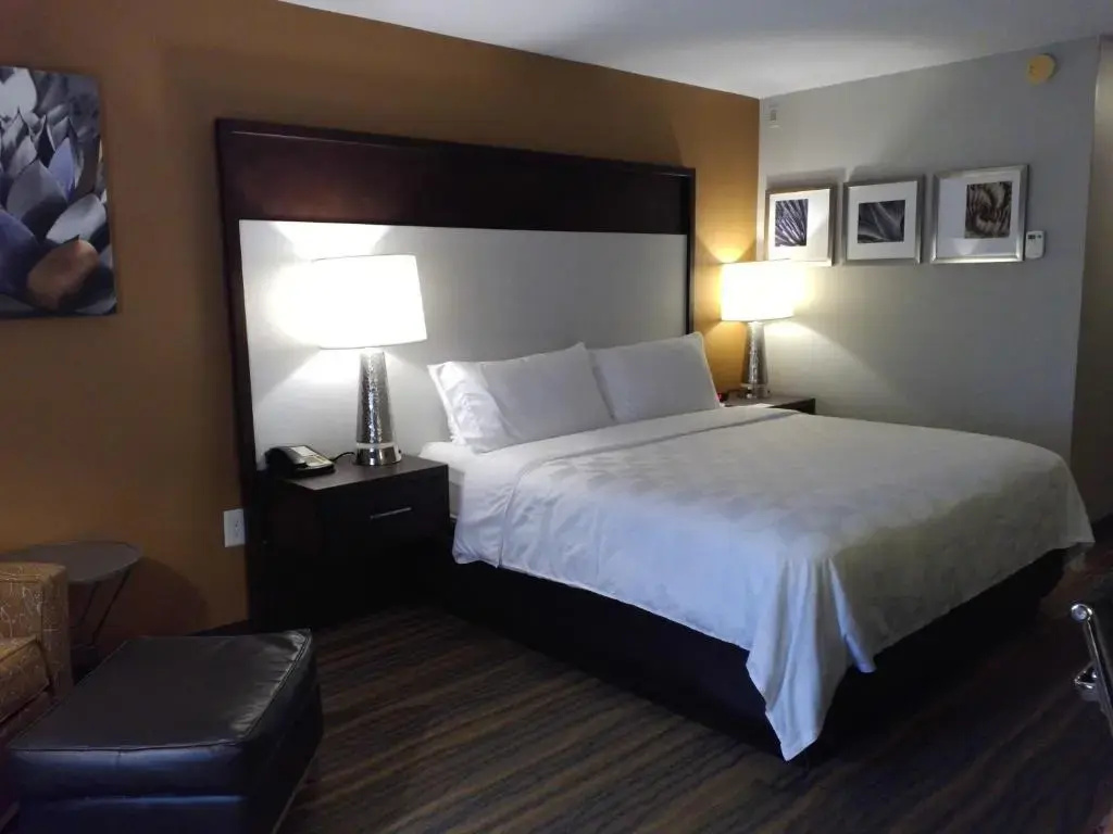 Holiday Inn & Suites Albuquerque-North I-25 by IHG - Chambres