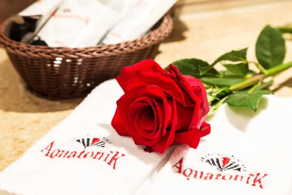 Balneo Complex & Spa Aquatonik - Chambres