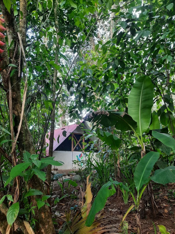 Costa Rica Glamping - фото 9