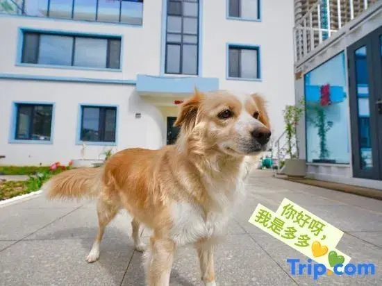 Shi Bei Coast Villa (Jin Beach Seawater Bathing Area Store)