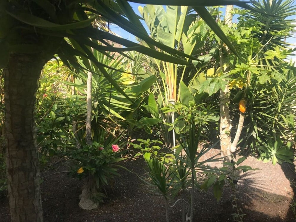 Lovely Apartment in Arona