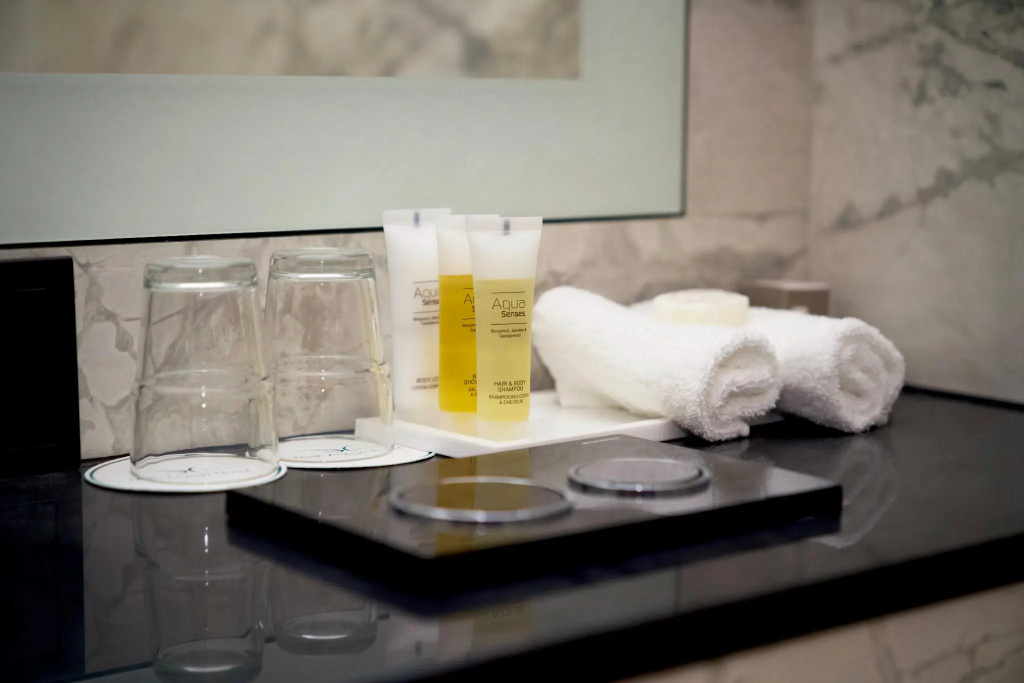 Nash Airport Hotel - Chambres