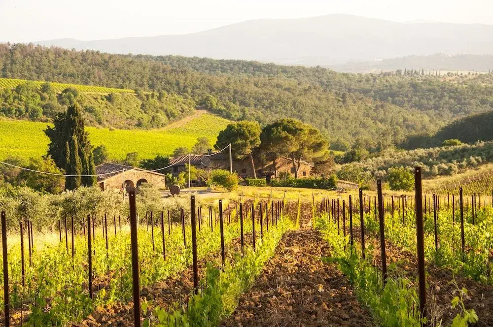 Agriturismo Ricudda