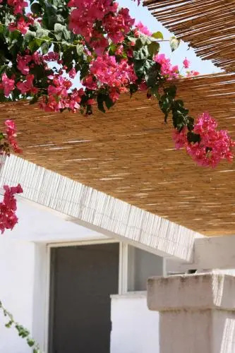 Balcony & Terrace