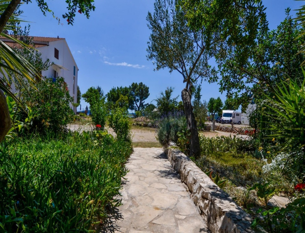 Apartment Rosa