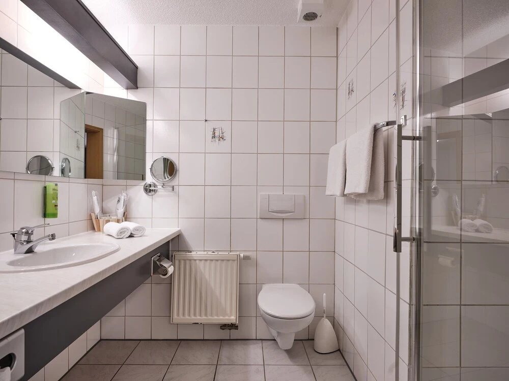 Hotel am Hochrhein - Général