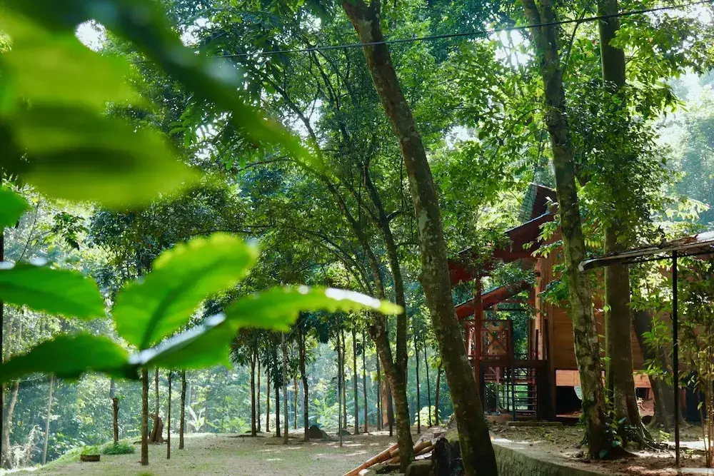 Paradise Eco Garden - Chambres