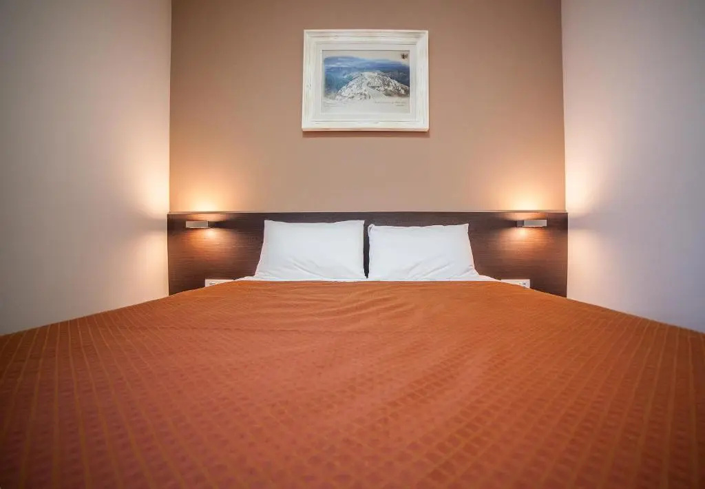 Standard Double room (full double bed)