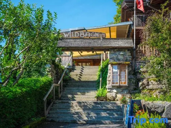 Hotel Wildbach