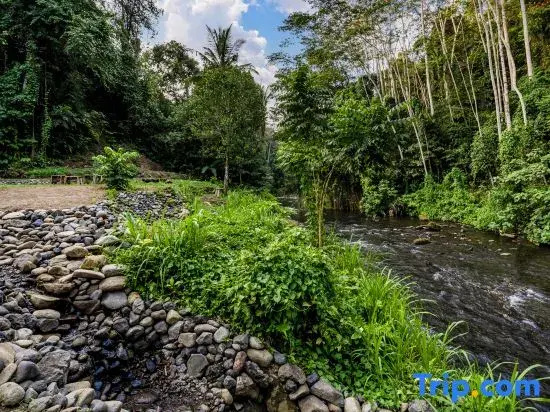 The Pala Ubud by Elite Havens