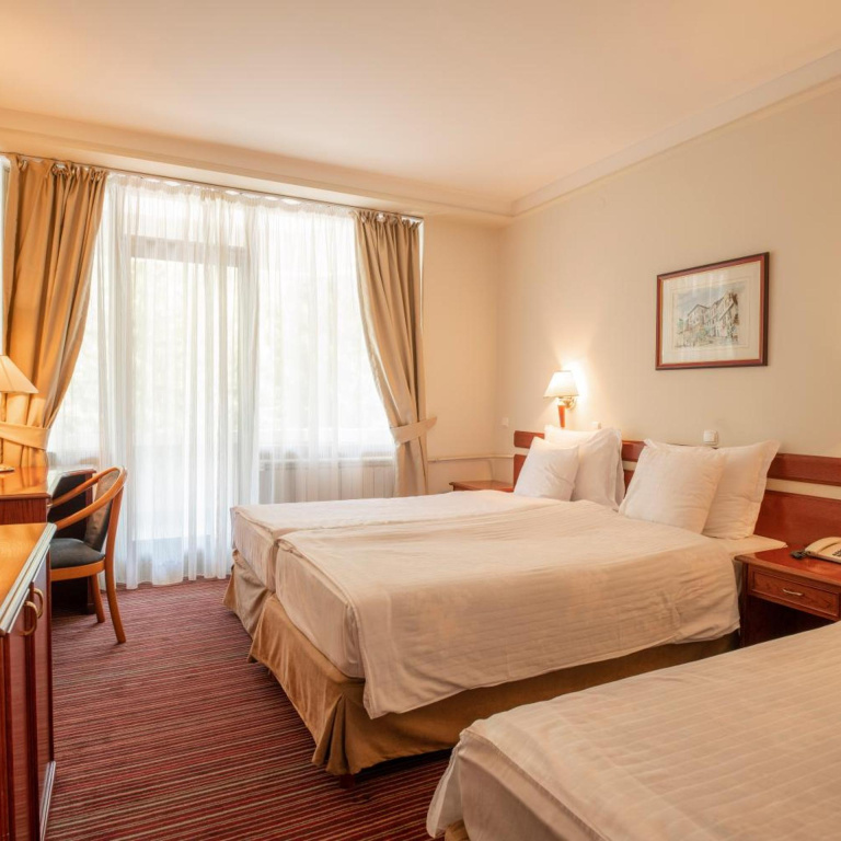 Hotel Bellevue - Général