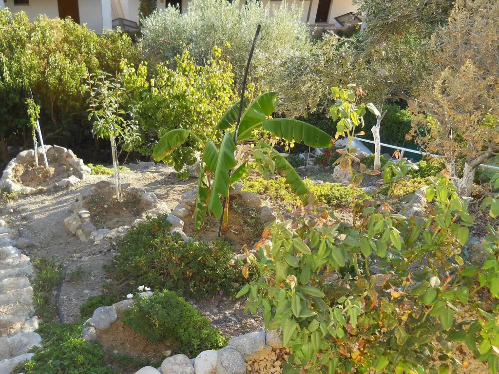 Hotel photo 35
