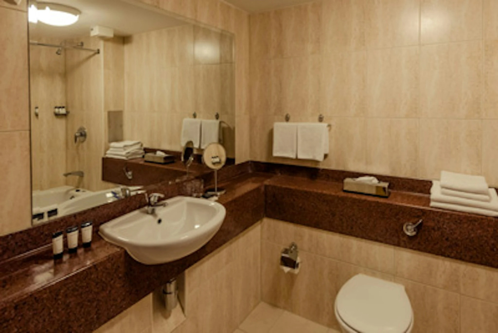 Rochestown Lodge Hotel - Général