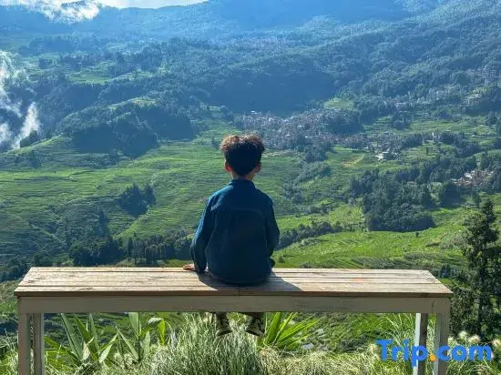 Yuanyang Huaweiwo No.2 Inn (Duoyishu Terraced Field Sunrise Inn)
