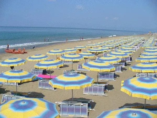 Beach & Waterfront
