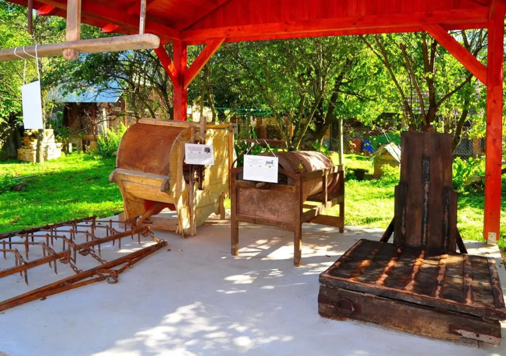 Kis-Balatoni Ökoporta - фото 10