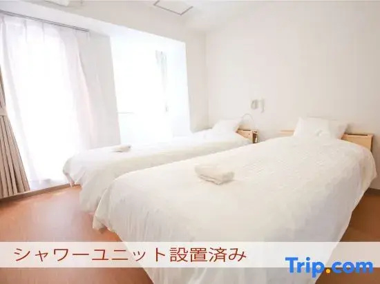 Standard Double room with city view (twin beds)