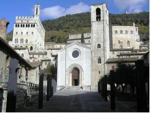 Image 16