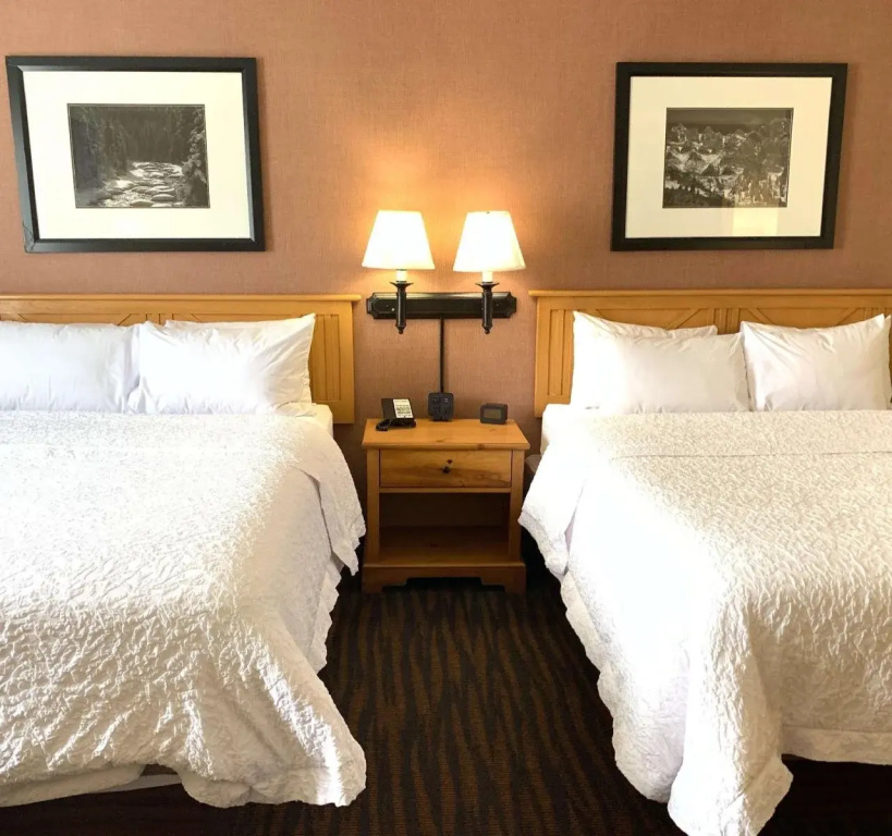 Hampton Inn and Suites Steamboat Springs - Général