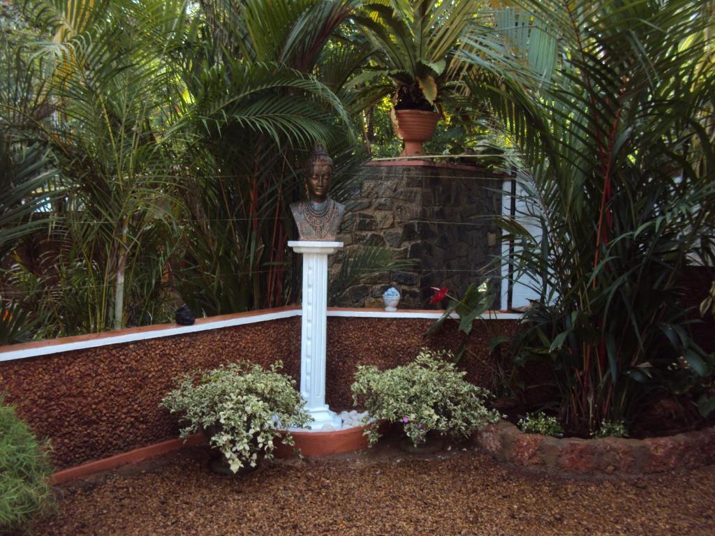Angel Villa