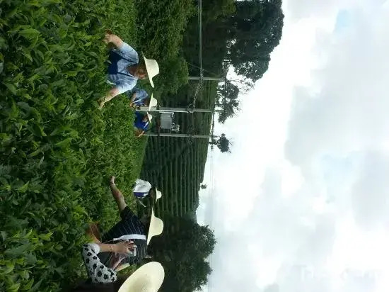 Mandy  Boutique  Hotel - фото 3