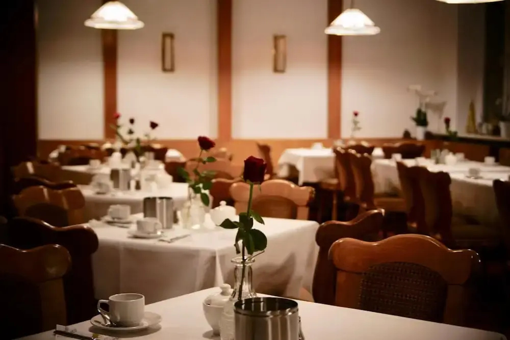 Central Hotel Torgau - Général