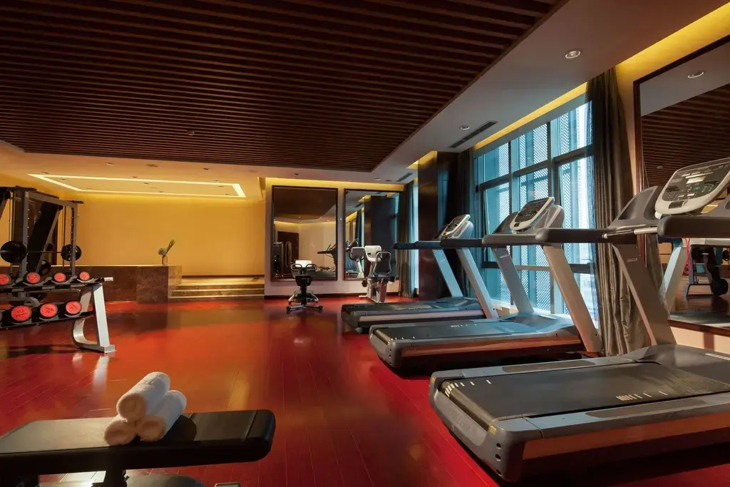 Xi'an Airport Hotel - Général