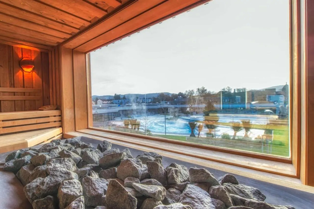 Dorint Parkhotel Bad Zurzach - Général