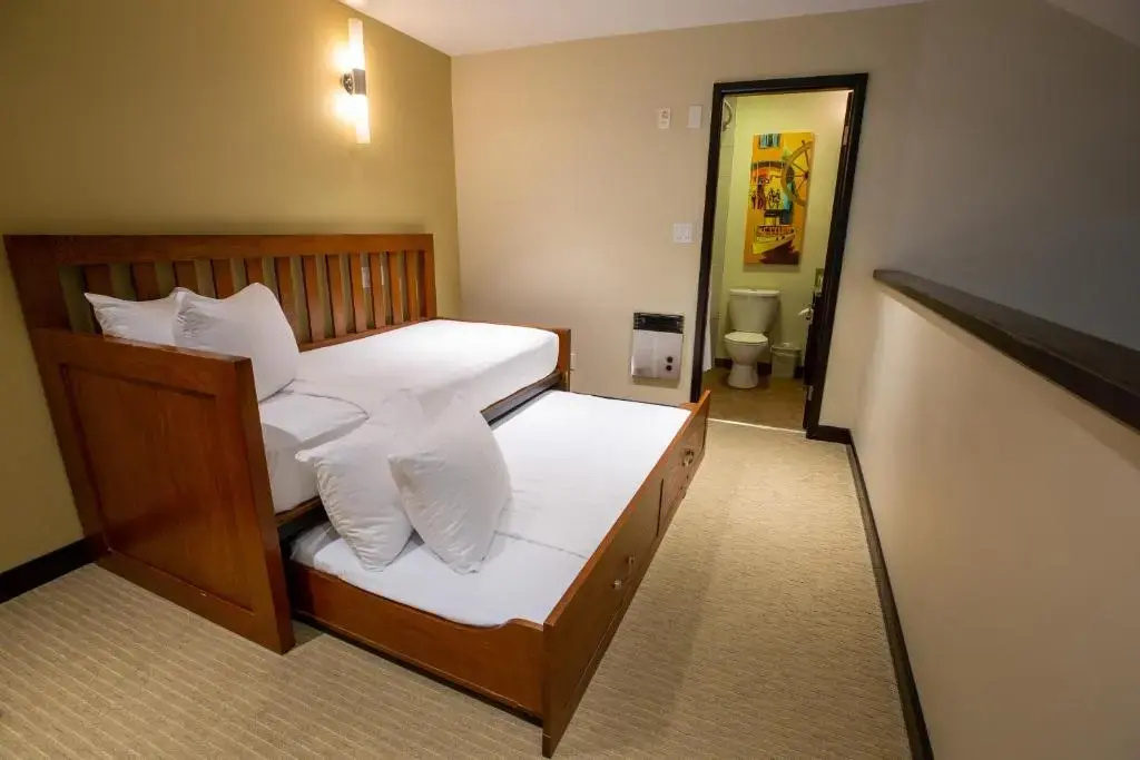1 Bedroom Suite with view