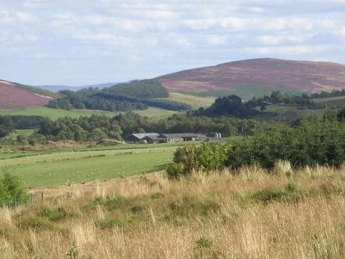 Glenisla Hotel