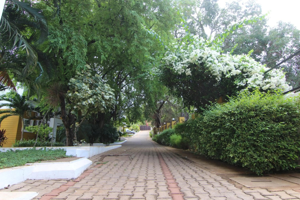 Rainforest - Casa Del Sol, Anjuna - 3 kms from the beach