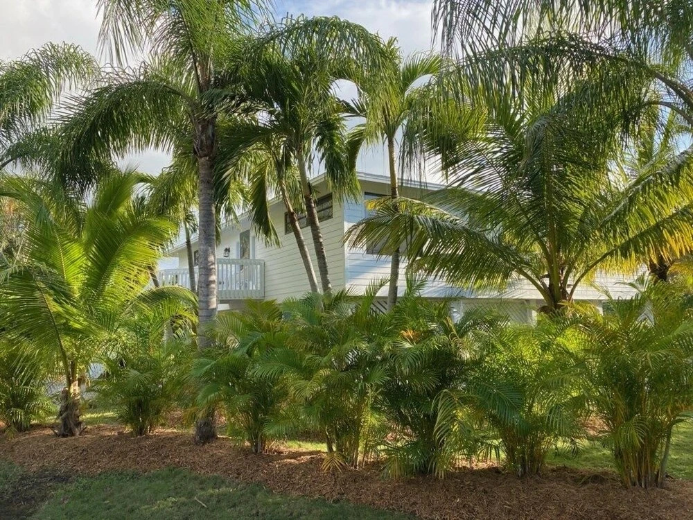 Henderson 3 Bedroom Home by RedAwning