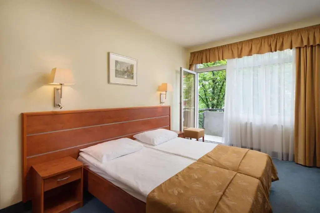 Superior Double room with balcony (full double bed)