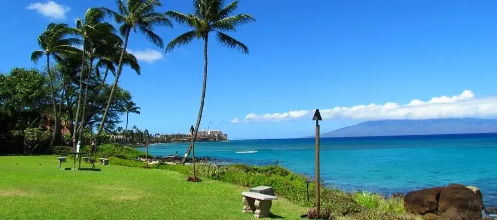 Polynesian Shores - Général