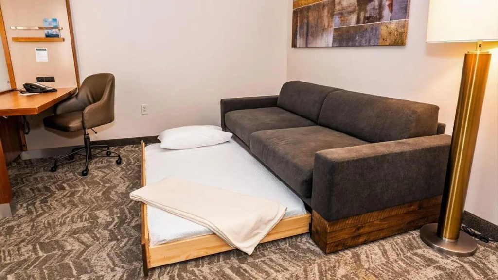 SpringHill Suites by Marriott McAllen Convention Center - Général