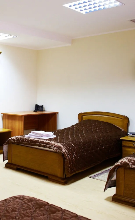 Medeu Hotel Almaty - Chambres
