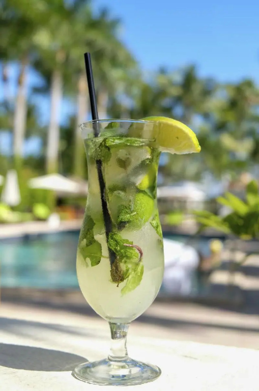 South Seas Hotel - Général
