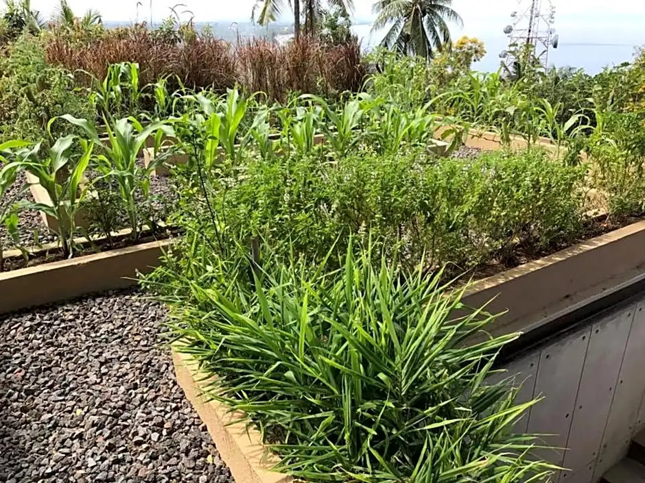 Villa Vie — фото 2