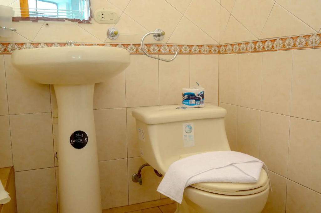 Sir Francis Drake by null