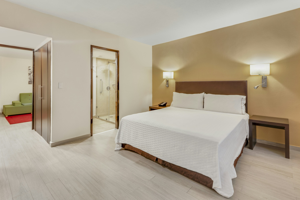 Fiesta Inn Guadalajara Expo - Général