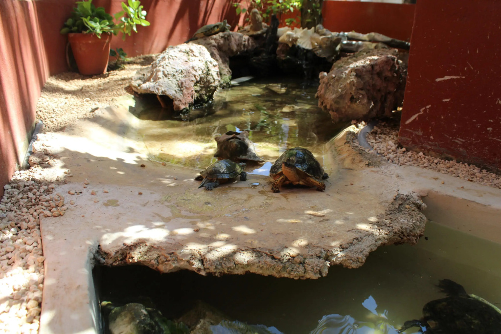 El Acuario Hotel - Général