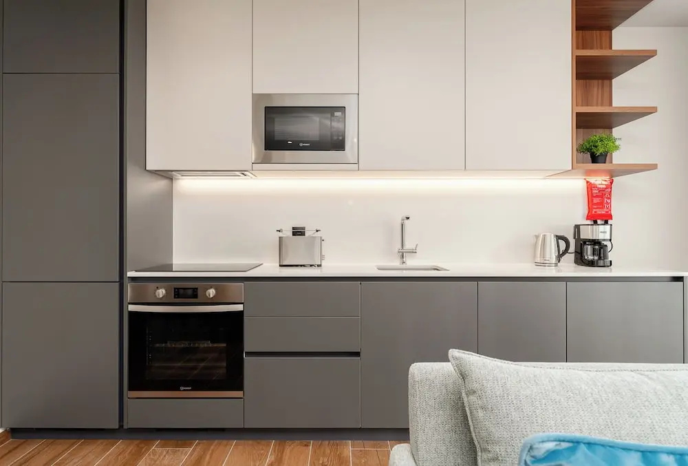 Deluxe Apartment with city view