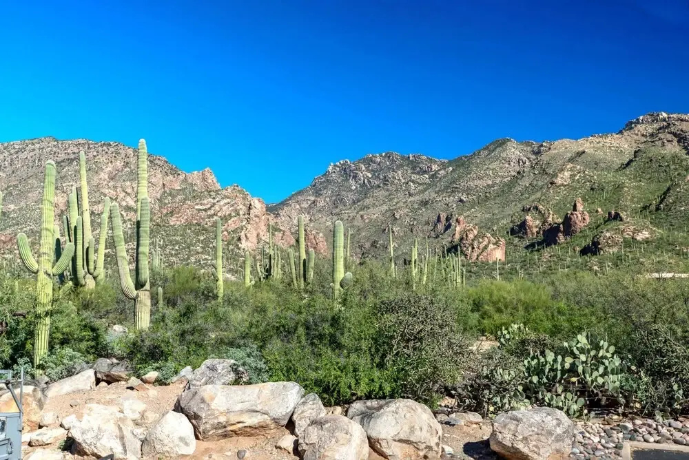 Gorgeous Mountain City Views Pools Hot Tubs