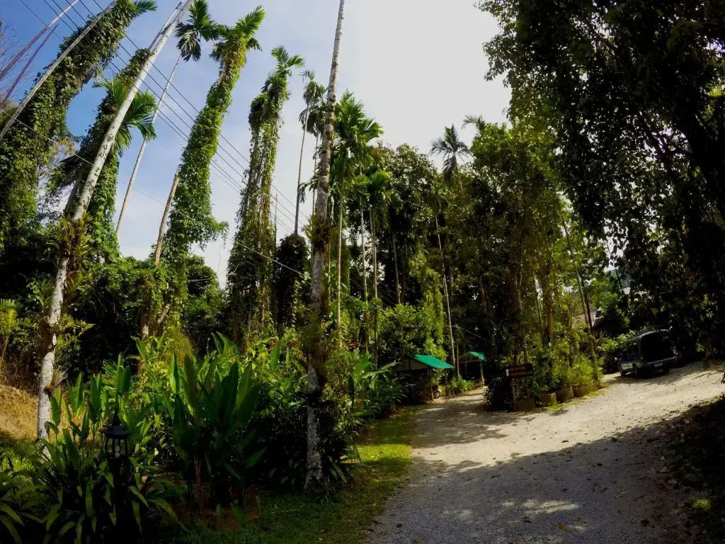 Morning Mist Resort - Général