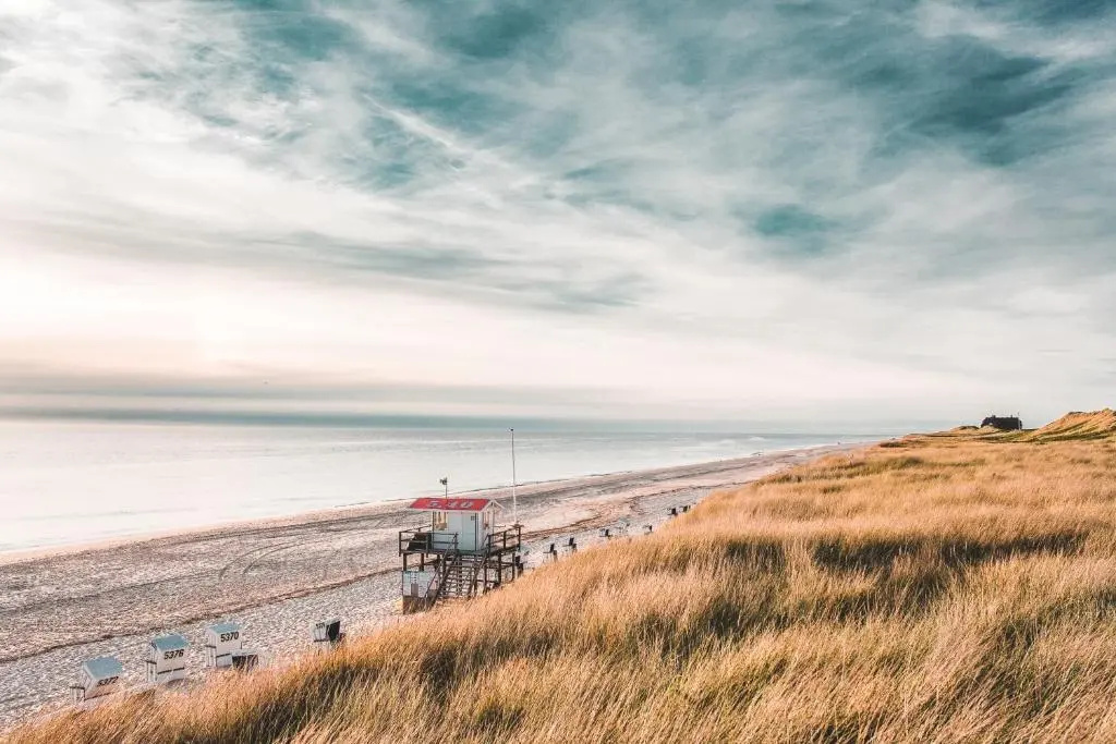Beach & Waterfront
