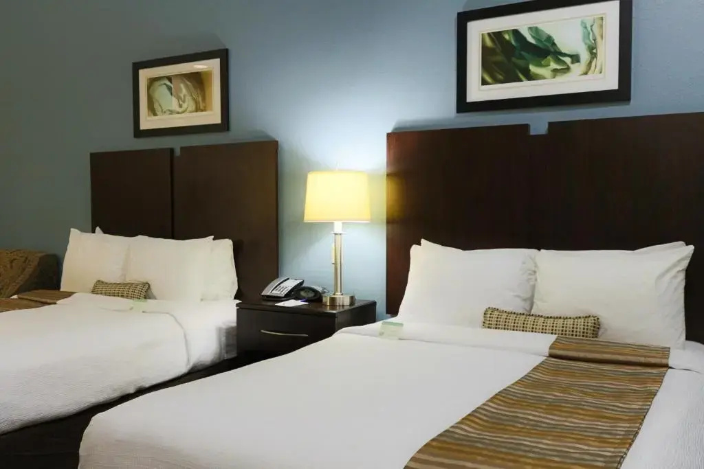 Spark by Hilton Houston Bush Intercontinental Airport - Chambres