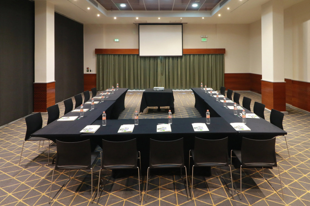 Holiday Inn San Luis Potosi Quijote by IHG - Général