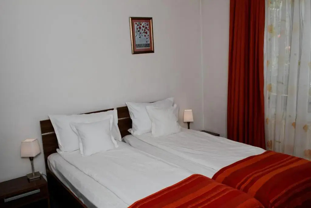 Standard Double room (twin beds)