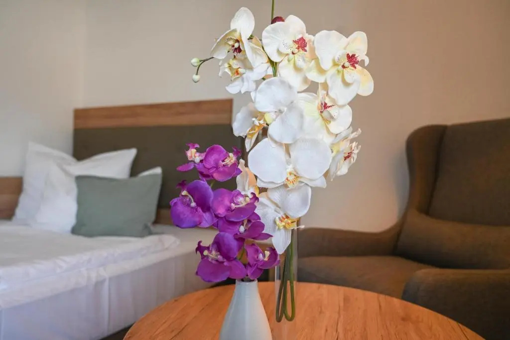 Novostar - Chambres